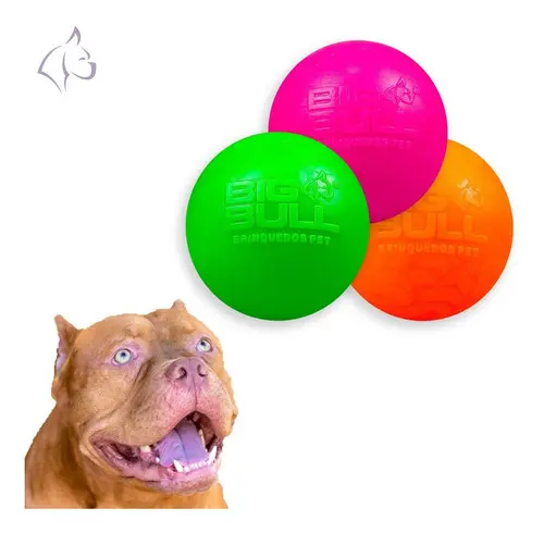 Review of the Big Bull Pet 10 cm dog ball set for large dogs, with practical notes on size, resistance, play style and who it suits best.