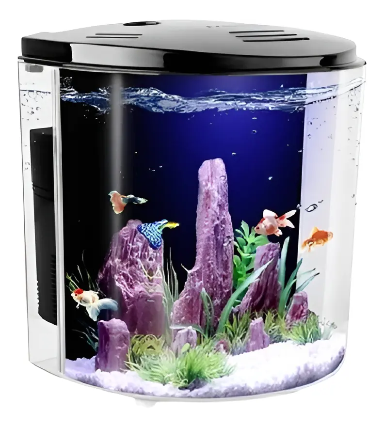 A practical SunSun complete betta aquarium review covering filter, space, daily use, strengths, limits and who should choose this compact tank.