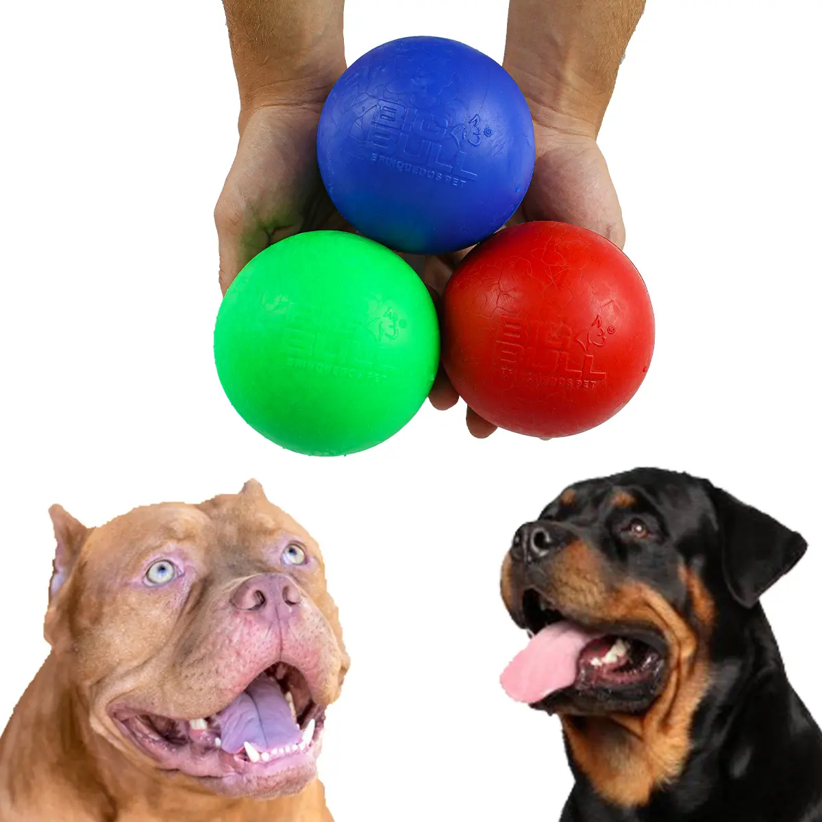 Review da Bola Resistente Big Bull Pet: veja para quais cães serve, pontos de atenção, material, uso ideal e quando faz sentido escolher.